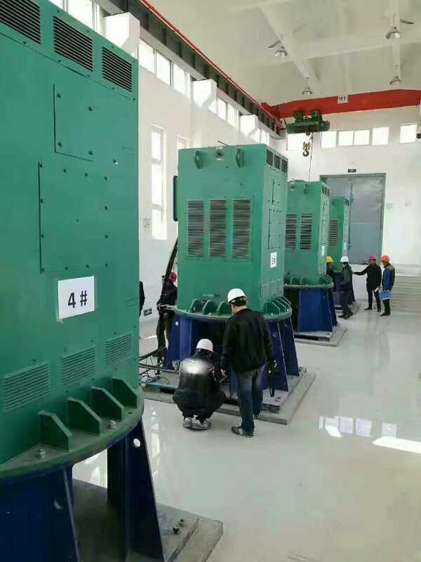 柳州某污水处理厂使用我厂的立式高压电机安装现场
